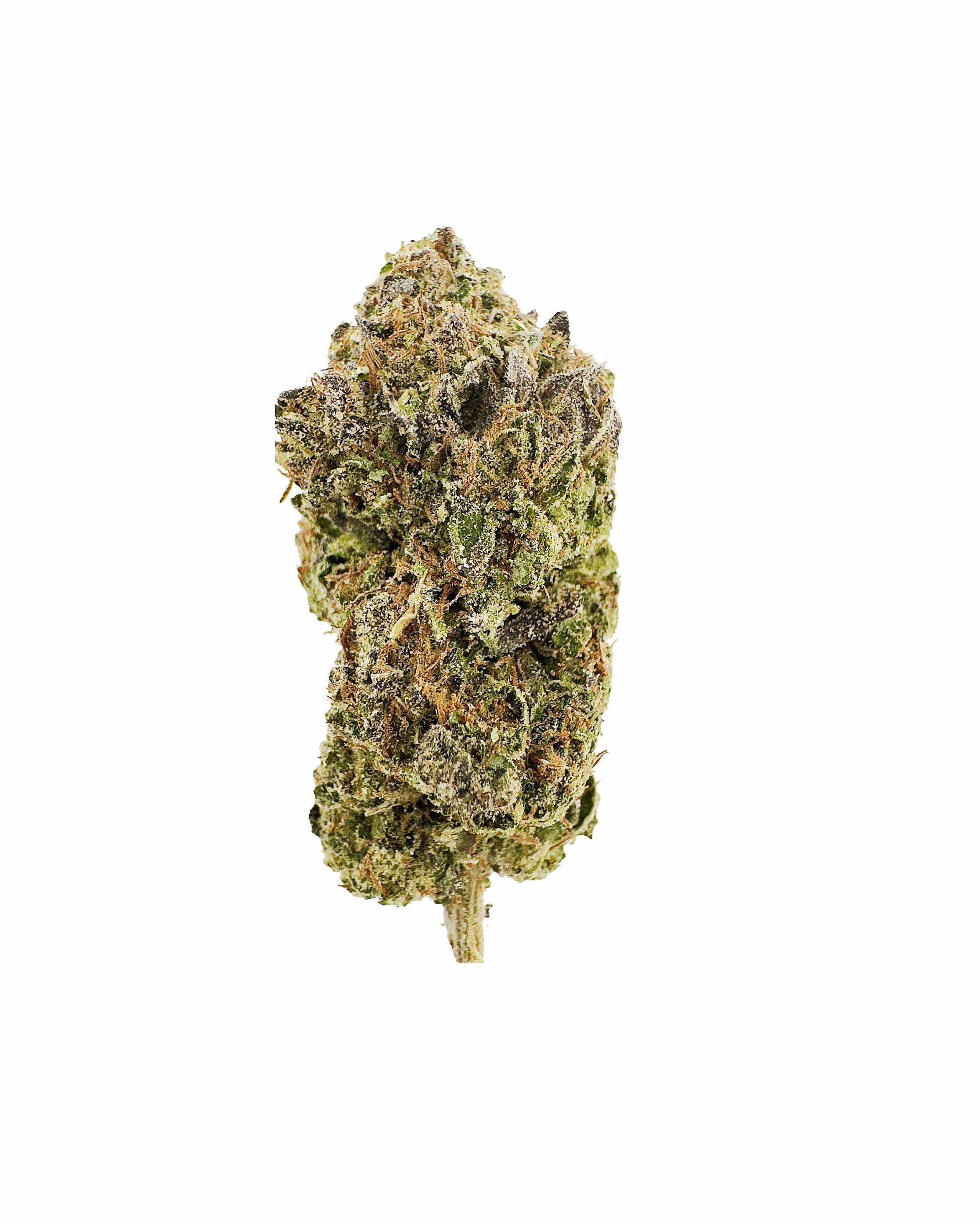 Image of AA Light Assists RR Zoap THCA Hemp Flower